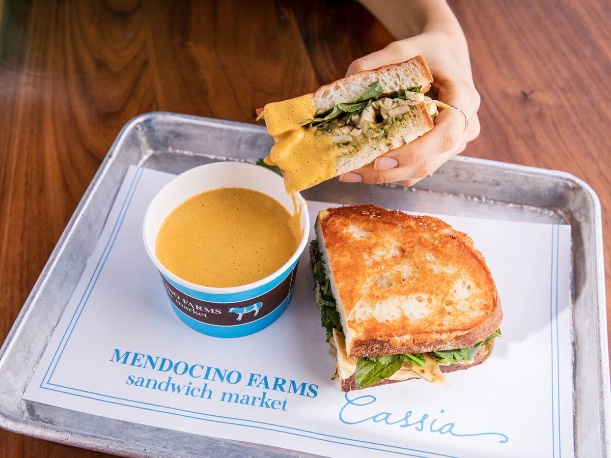 closeup of tray with soup cup and half a sandwich and person